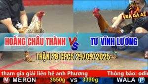 Trận 28 CPC5 29/9/2025 - Anh Hoàng Châu Thành Và Anh Tư Vĩnh Lương