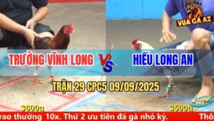 Trận 29 CPC5 9/9/2025 - Anh Trường Vĩnh Long Và Anh Hiếu Long An