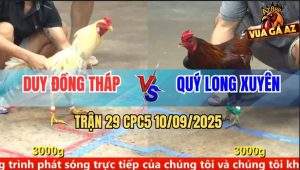 Trận 29 CPC5 10/9/2025 - Anh Duy Đồng Tháp Và Anh Quý Long Xuyên