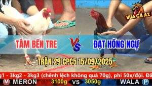 Trận 29 CPC5 15/9/2025 - Anh Tám Bến Tre Và Anh Đạt Hồng Ngự