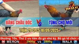 Trận 29 CPC5 18/9/2025 - Anh Đăng Châu Đốc Và Anh Anh Tùng Chợ Mới