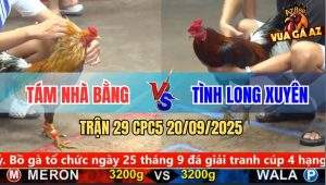 Trận 29 CPC5 20/9/2025 - Anh Tám Nhà Bằng Và Anh Tình Long Xuyên