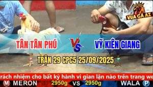 Trận 29 CPC5 25/9/2025 - Anh Tân Tân Phú Và Anh Vỹ Kiên Giang