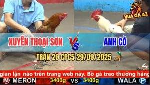 Trận 29 CPC5 29/9/2025 - Anh Xuyên Thoại Sơn Và Anh Cò