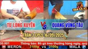 Trận 3 CPC5 16/9/2025 - Anh Tư Long Xuyên Và Anh Quang Vũng Tàu