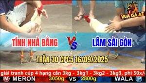 Trận 30 CPC5 16/9/2025 - Anh Tính Nhà Bằng Và Anh Lâm Sài Gòn