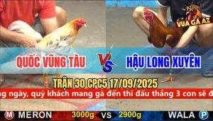 Trận 30 CPC5 17/9/2025 - Anh Quốc Vũng Tàu Và Anh Hậu Long Xuyên