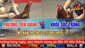 Trận 30 CPC5 23/9/2025 - Anh Phương Tiền Giang Và Anh Khỏe Sóc Trăng