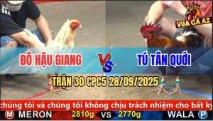 Trận 30 CPC5 28/9/2025 - Anh Đô Hậu Giang Và Anh Tú Tân Quới