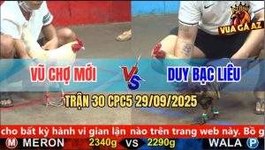 Trận 30 CPC5 29/9/2025 - Anh Vũ Chợ Mới Và Anh Duy Bạc Liêu