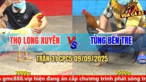 Trận 31 CPC5 9/9/2025 - Anh Thọ Long Xuyên Và Anh Tùng Bến Tre