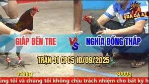 Trận 31 CPC5 10/9/2025 - Anh Giáp Bến Tre Và Anh Nghĩa Đồng Tháp