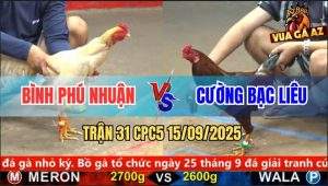 Trận 31 CPC5 15/9/2025 - Anh Bình Phú Nhuận Và Anh Cường Bạc Liêu