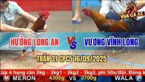 Trận 31 CPC5 16/9/2025 - Anh Hưởng Long An Và Anh Vương Vĩnh Long