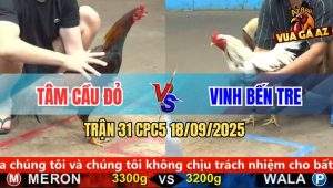 Trận 31 CPC5 18/9/2025 - Anh Tâm Cầu Đỏ Và Anh Vinh Bến Tre