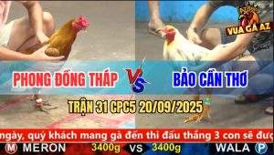 Trận 31 CPC5 20/9/2025 - Anh Phong Đồng Tháp Và Anh Bảo Cần Thơ