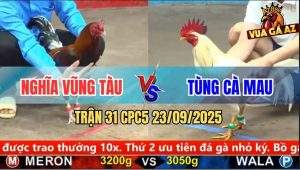 Trận 31 CPC5 23/9/2025 - Anh Nghĩa Vũng Tàu Và Anh Tùng Cà Mau