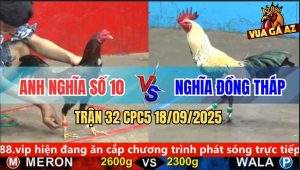Trận 32 CPC5 18/9/2025 - Anh Nghĩa Số 10 Và Anh Nghĩa Đồng Tháp