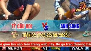 Trận 32 CPC5 22/9/2025 - Anh Tý Cầu Voi Và Anh Sang