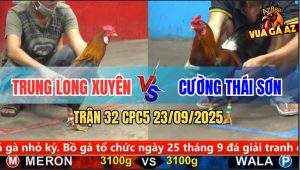 Trận 32 CPC5 23/9/2025 - Anh Trung Long Xuyên Và Anh Cường Thái Sơn