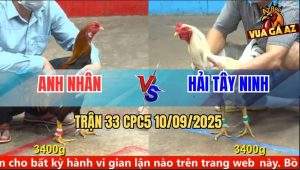 Trận 33 CPC5 10/9/2025 - Anh Nhân Và Anh Hải Tây Ninh