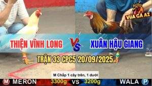 Trận 33 CPC5 20/9/2025 - Anh Thiện Vĩnh Long Và Anh Xuân Hậu Giang