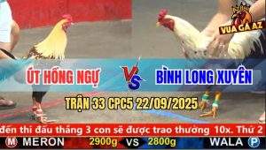 Trận 33 CPC5 22/9/2025 - Anh Út Hồng Ngự Và Anh Bình Long Xuyên