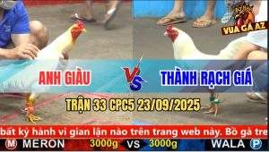 Trận 33 CPC5 23/9/2025 - Anh Giàu Và Anh Thành Rạch Giá