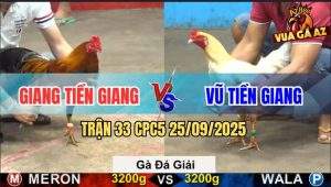 Trận 33 CPC5 25/9/2025 - Anh Giang Tiền Giang Gặp Anh Vũ Tiền Giang