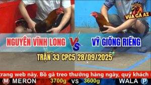 Trận 33 CPC5 28/9/2025 - Anh Nguyên Vĩnh Long Và Anh Vỹ Giồng Riềng
