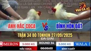 Trận 34 Bồ TonHon 27/09/2025 - Anh Hắc Coca Gặp Anh Bình Hòn Đất
