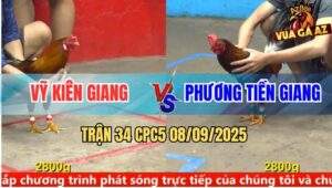 Trận 34 CPC5 8/9/2025 - Anh Vỹ Kiên Giang Và Anh Phương Tiền Giang
