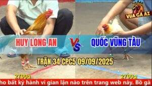 Trận 34 CPC5 9/9/2025 - Anh Huy Long An Và Anh Quốc Vũng Tàu
