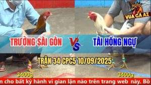 Trận 34 CPC5 10/9/2025 - Anh Trường Sài Gòn Và Anh Tài Hồng Ngự
