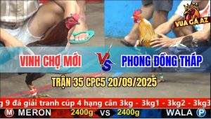 Trận 35 CPC5 20/9/2025 - Anh Vinh Chợ Mới Và Anh Phong Đồng Tháp