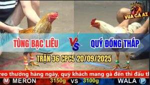 Trận 36 CPC5 20/9/2025 - Anh Tùng Bạc Liêu Và Anh Quý Đồng Tháp