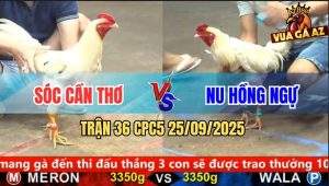 Trận 36 CPC5 25/9/2025 - Anh Sóc Cần Thơ Và Anh Nu Hồng Ngự