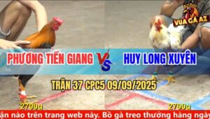 Trận 37 CPC5 9/9/2025 - Anh Phương Tiền Giang Và Anh Huy Long Xuyên