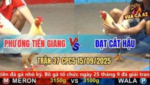 Trận 37 CPC5 15/9/2025 - Anh Phương Tiền Giang Và Anh Đạt Cát Hậu