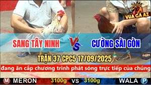 Trận 37 CPC5 17/9/2025 - Anh Sang Tây Ninh Và Anh Cường Sài Gòn