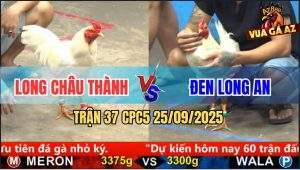 Trận 37 CPC5 25/9/2025 - Anh Long Châu Thành Và Anh Đen Long An