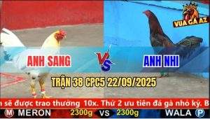 Trận 38 CPC5 22/9/2025 - Anh Sang Và Anh Nhi