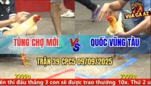 Trận 39 CPC5 9/9/2025 - Anh Tùng Chợ Mới Và Anh Quốc Vũng Tàu