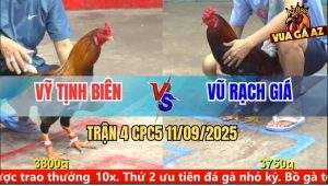 Trận 4 CPC5 11/9/2025 - Anh Vỹ Tịnh Biên Và Anh Vũ Rạch Giá