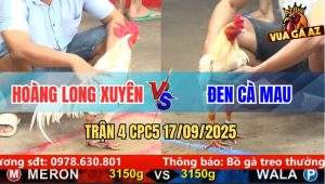 Trận 4 CPC5 17/9/2025 - Anh Hoàng Long Xuyên Và Anh Đen Cà Mau