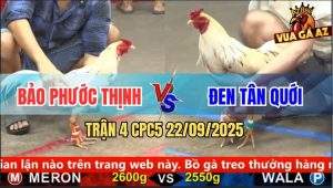 Trận 4 CPC5 22/9/2025 - Anh Bảo Phước Thịnh Và Anh Đen Tân Quới