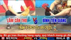 Trận 4 CPC5 25/9/2025 - Anh Nu Hồng Ngự Và Anh Quang Vũng Tàu