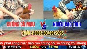 Trận 4 CPC5 30/9/2025 - Anh Cường Cà Mau Và Anh Nhiễu Cao Tính