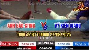 Trận 42 Bồ TonHon 27/09/2025 - Anh Bảo Sting Và Anh Vỹ Kiên Giang