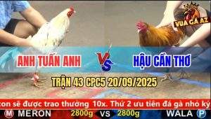 Trận 43 CPC5 20/9/2025 - Anh Tuấn Anh Và Anh Hậu Cần Thơ